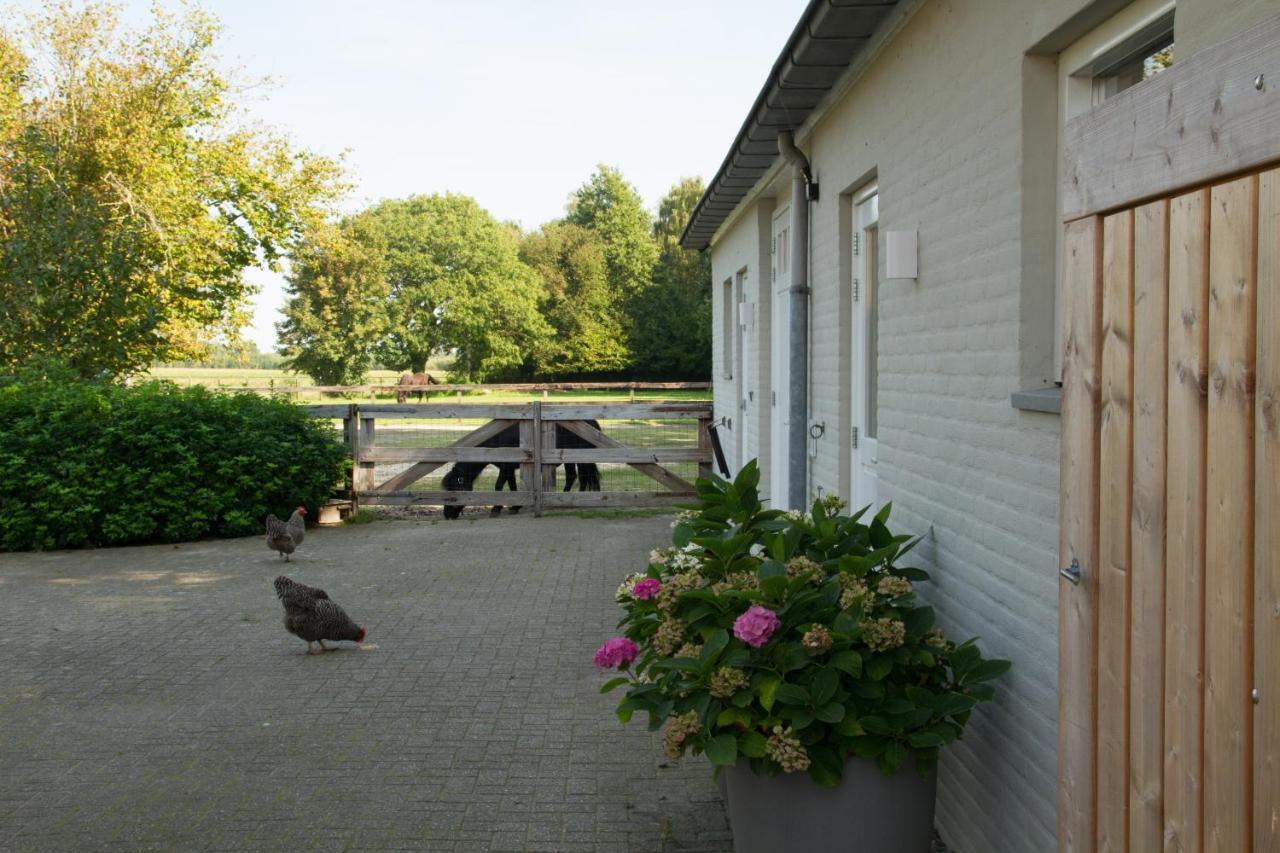 Het Rooversnest Riel Exterior foto
